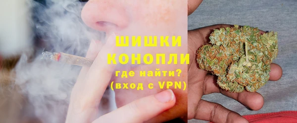 трава Грязовец