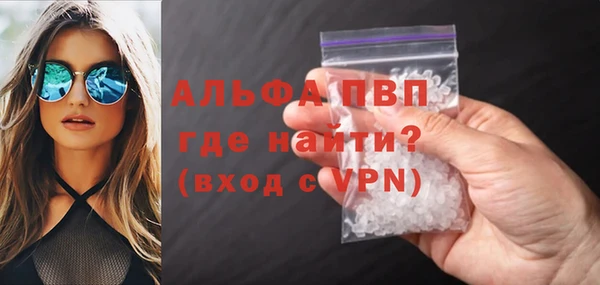 PSILOCYBIN Губаха
